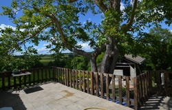 Duras, Aquitaine 47120