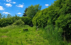 Coulogne, Hauts-de-France 62137