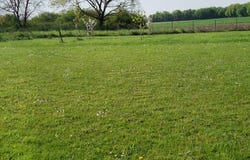 Écollemont, Grand Est 51290