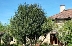 Masseube, Midi-Pyrénées 32140