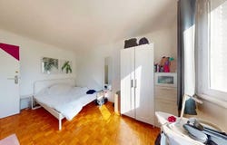 Avenue Leclerc, Lyon, Auvergne-Rhône-Alpes 69007