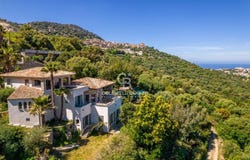 Monticello, Corsica 20220