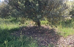 Moussac, Gard 30190