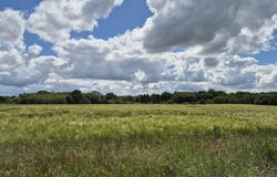 Billé, Brittany 35133