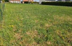 Licourt, Picardie 80320