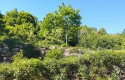 Florac Trois Rivieres, Languedoc-Roussillon 48400