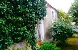 Les Bordes, Indre 36100