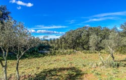 Saint-Siffret, Occitanie 30700