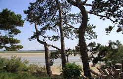 Le Crotoy, Picardie 80550