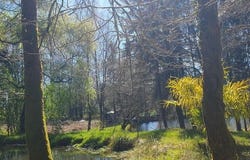 Marval, Limousin 87440