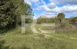 Aubais, Languedoc-Roussillon 30250