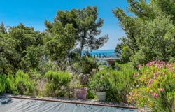 Bormes-les-Mimosas, Provence-Alpes-Côte d'Azur 83230