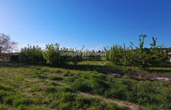 Cavillargues, Languedoc-Roussillon 30330