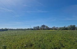 Cleder, Bretagne 29233