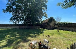Saint-Amand-Les-Eaux, Nord-Pas-de-Calais 59230