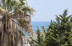Antibes, Provence-Alpes-Côte-d'Azur 06160
