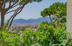 Cannes, Provence-Alpes-Côte d'Azur 06400