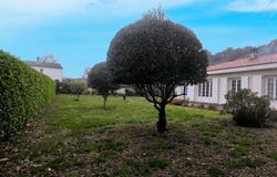 Pieusse, Languedoc-Roussillon 11300