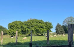 Saint-Denis-des-Murs, Nouvelle-Aquitaine 87400