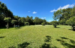 Messé, Poitou-Charentes 79120