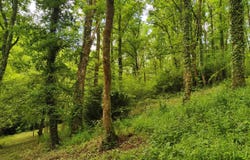 Salies-de-Béarn, Pyrénées-Atlantiques 64270