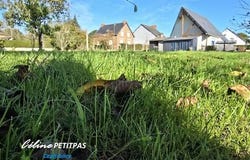 GAEL, Bretagne 35290