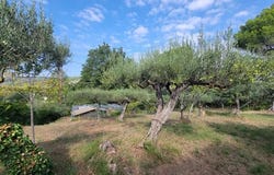 Salernes, Var 83690