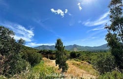 Moncale, Corse 20214