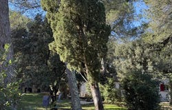 Nîmes, Gard 30000