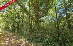 Loretz d Argenton, Poitou-Charentes 79290