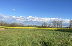 Fourques-sur-Garonne, Lot-et-Garonne 47200