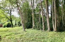 Prunay-En-Yvelines, Île-de-France 78660