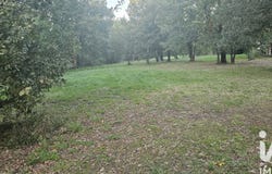 Mauressac, Occitanie 31190