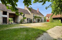 Turny, Burgundy 89570