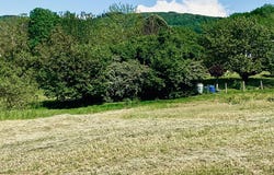 Les Belezins, Saint Amour, Bourgogne-Franche-Comté 39160