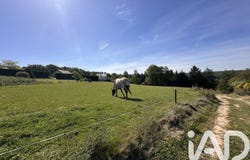 Abreschviller, Grand Est 57560