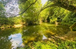 Rarecourt, Lorraine 55120