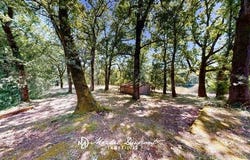 Couze-Et-Saint-Front, Aquitaine 24150