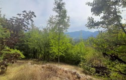 Recoubeau-Jansac, Rhône-Alpes 26310