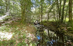 LA SALVETAT SUR AGOUT, Occitanie 34330