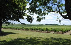 Blasimon, Aquitaine 33540