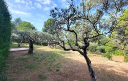 Salernes, Var 83690