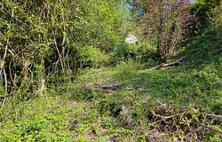 Mareil-sur-Mauldre, Yvelines 78124