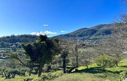 CHATEAUNEUF GRASSE HH-15292686, Châteauneuf-Grasse, Provence-Alpes-Côte d'Azur 06740