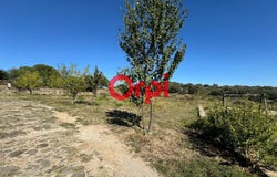 Arboussols, Languedoc-Roussillon 66320