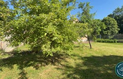 Wasselonne, Bas-Rhin 67310