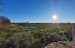 Le Cailar, Languedoc-Roussillon 30740