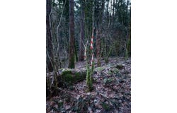 Grange-De-Vaivre, Franche-Comté 39600