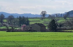 Cluny, Burgundy 71250