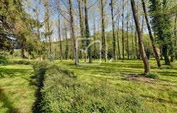 L'Absie, Poitou-Charentes 79240